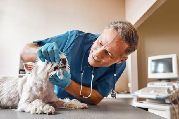 Best Emergency Dental Services Near Me  in Country Clu, FL